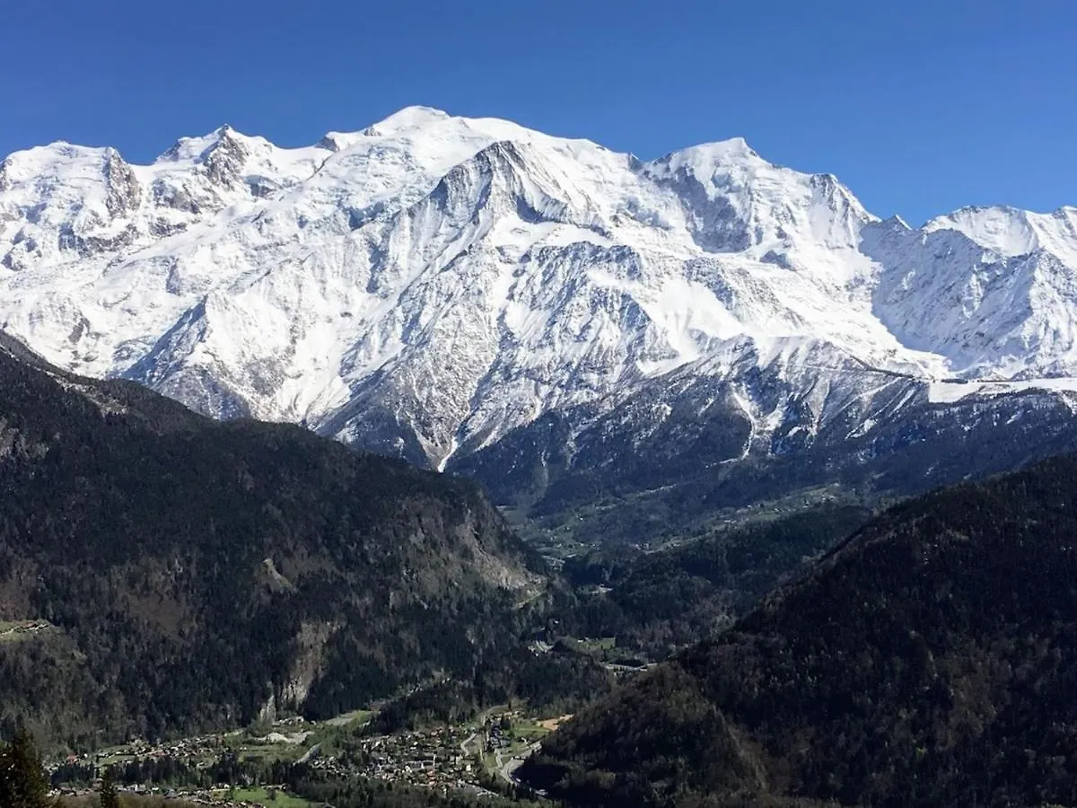 Chalet Fizhome Mt Blanc Passy