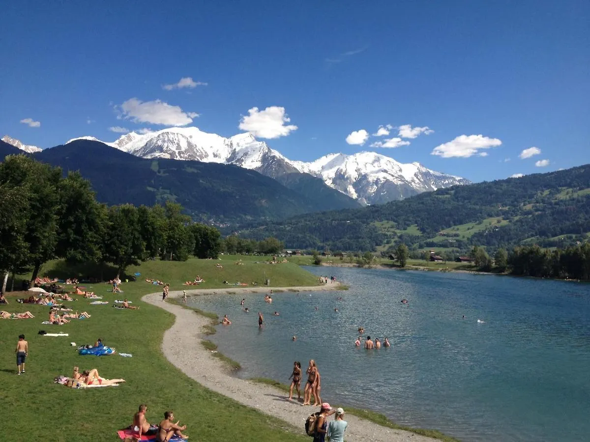 Fizhome Mt Blanc Passy  France