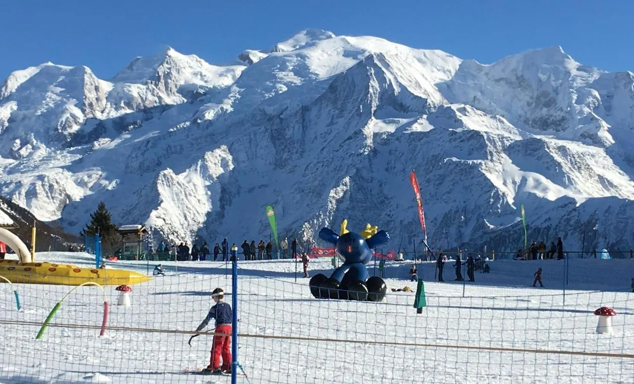 Fizhome Mt Blanc Passy  Chalet Passy (Haute-Savoie)